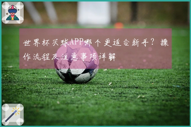 世界杯买球APP哪个更适合新手？操作流程及注意事项详解