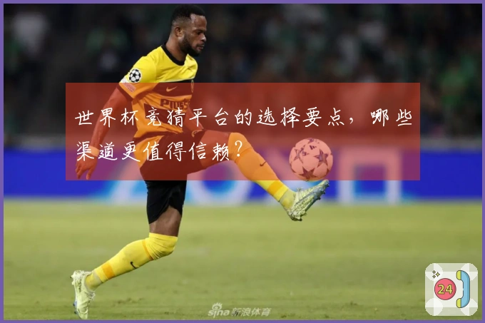 世界杯竞猜平台的选择要点，哪些渠道更值得信赖？