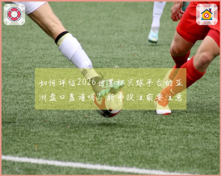 如何评估2026世界杯买球平台的亚洲盘口靠谱吗？新手投注前要注意哪些重点？