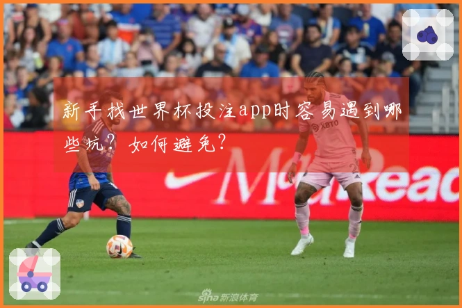 新手找世界杯投注app时容易遇到哪些坑？如何避免？