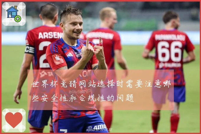 世界杯竞猜网站选择时需要注意哪些安全性和合规性的问题